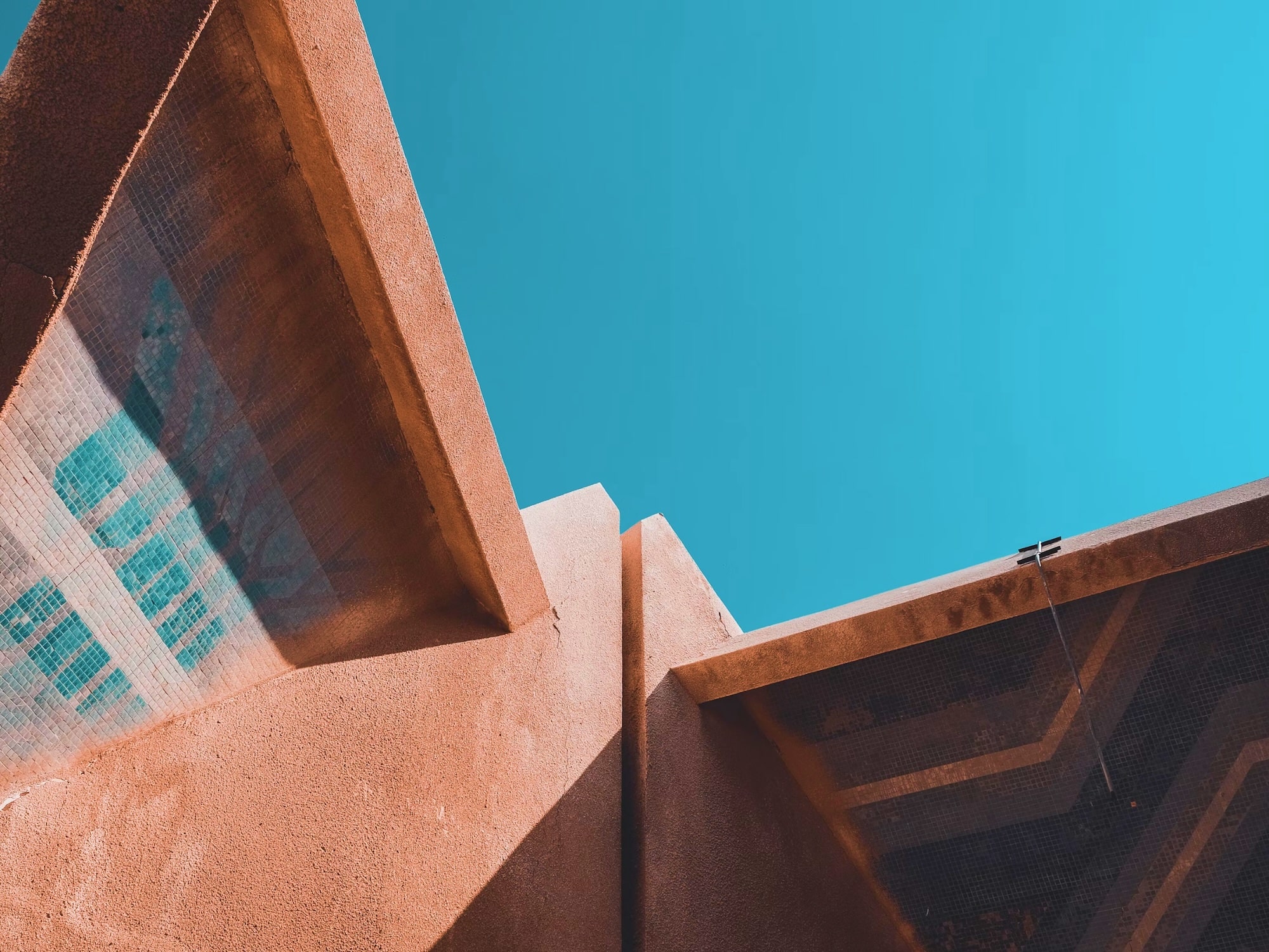 Brand Identity Launch (2)